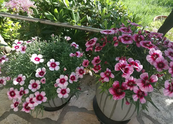 Lägenhet Eugen Rtina